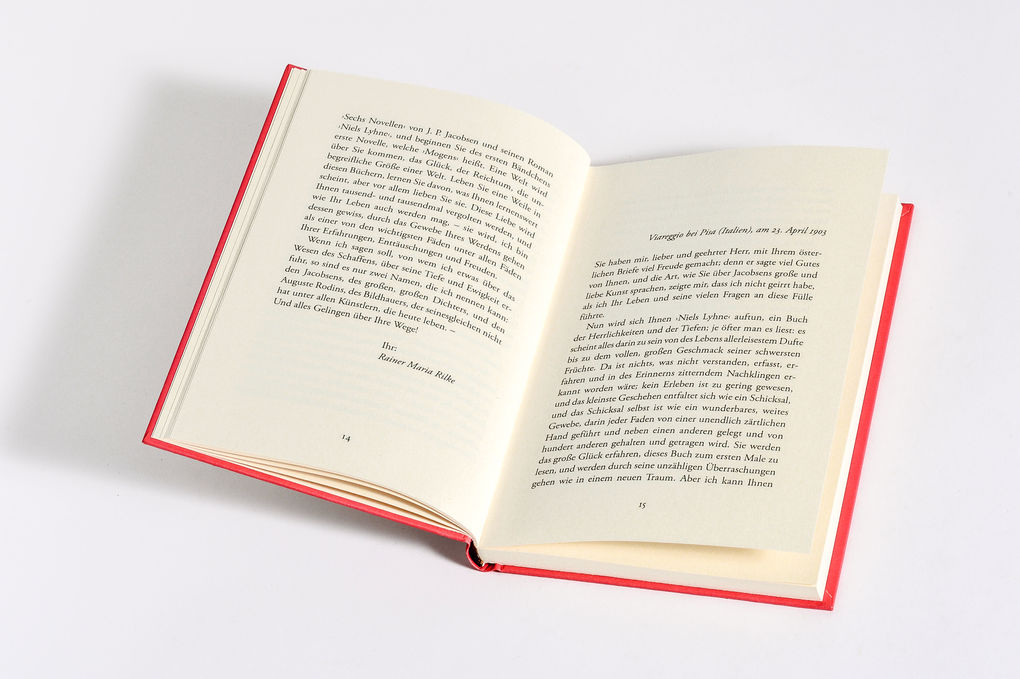 Weitere Ansicht: Briefe an einen jungen Dichter | Rainer Maria Rilke