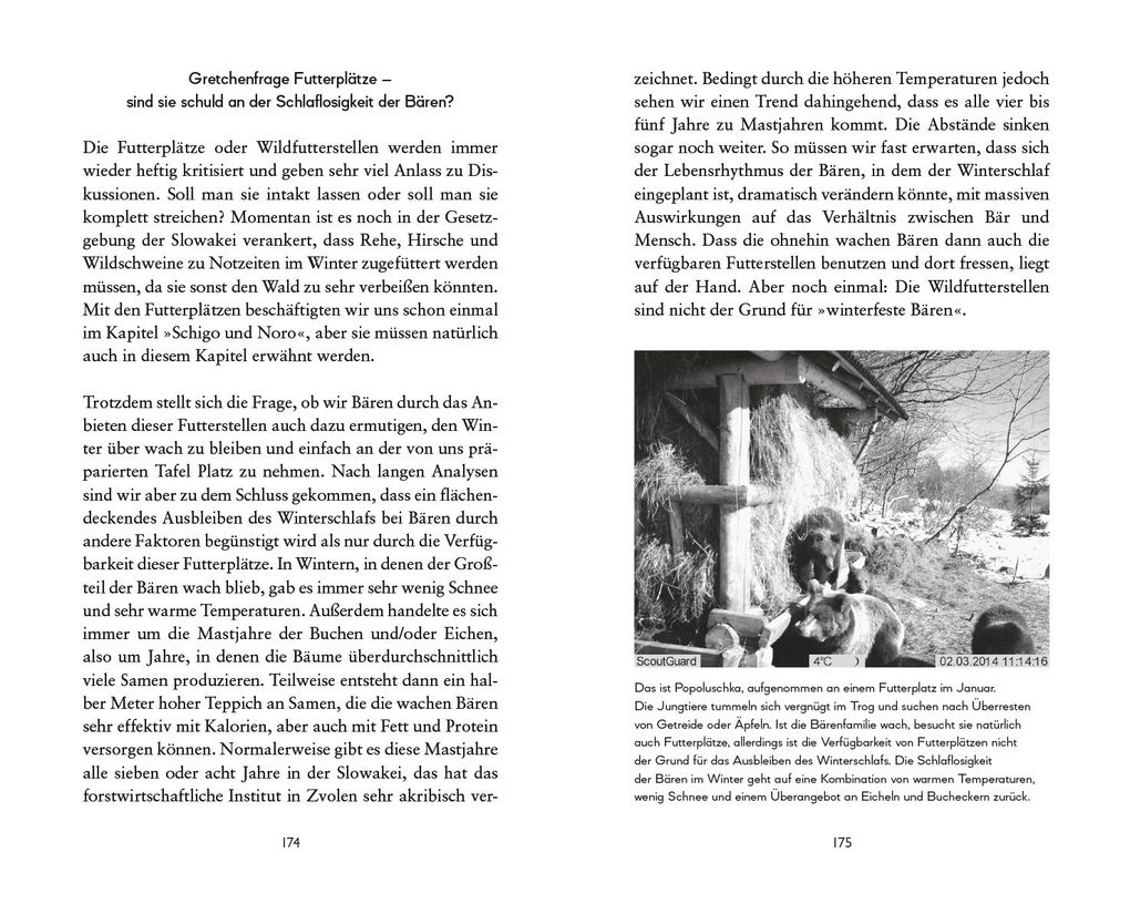 Weitere Ansicht: Botschafter des Waldes | Michaela Skuban