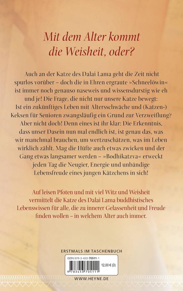 Weitere Ansicht: Die Katze des Dalai Lama und die Weisheit grauer Schnurrhaare | David Michie