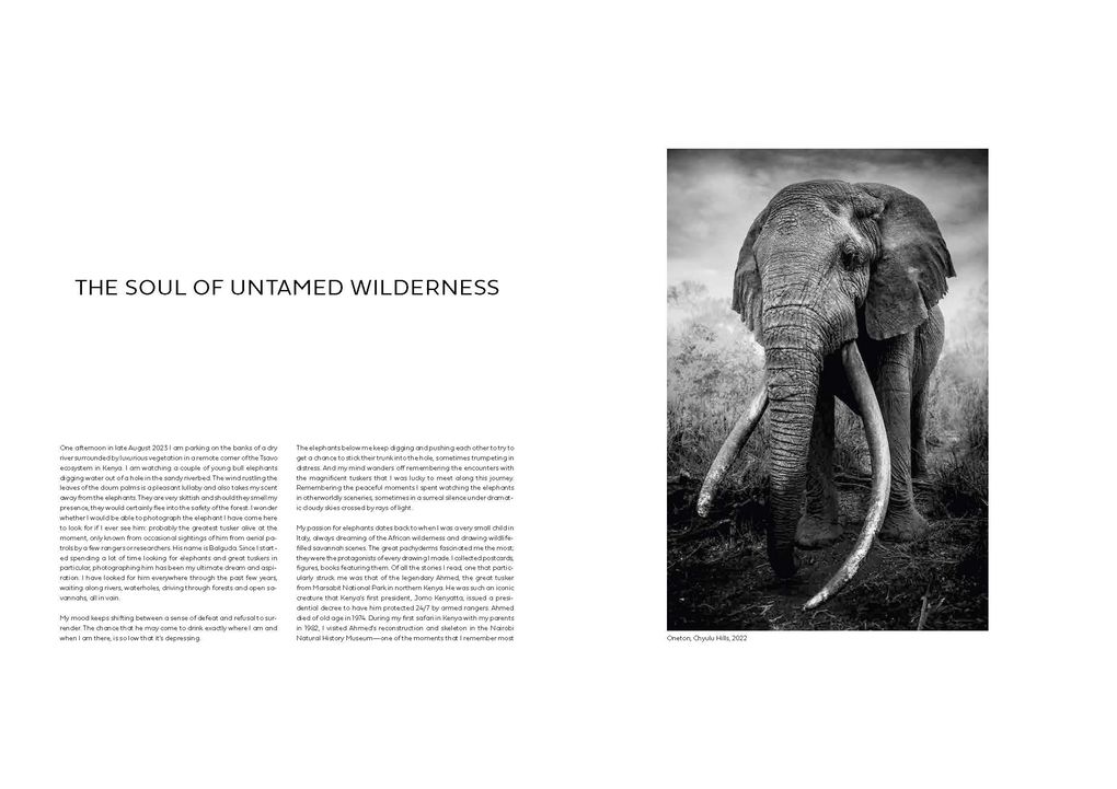 Weitere Ansicht: Walk the Earth | Federico Veronesi