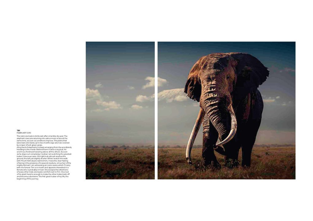 Weitere Ansicht: Walk the Earth | Federico Veronesi