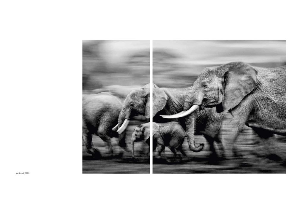 Weitere Ansicht: Walk the Earth | Federico Veronesi