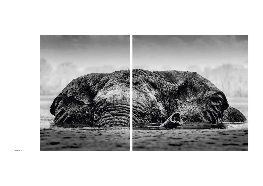 Weitere Ansicht: Walk the Earth | Federico Veronesi