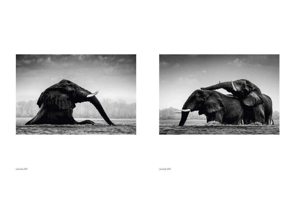 Weitere Ansicht: Walk the Earth | Federico Veronesi
