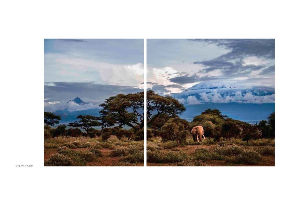 Weitere Ansicht: Walk the Earth | Federico Veronesi