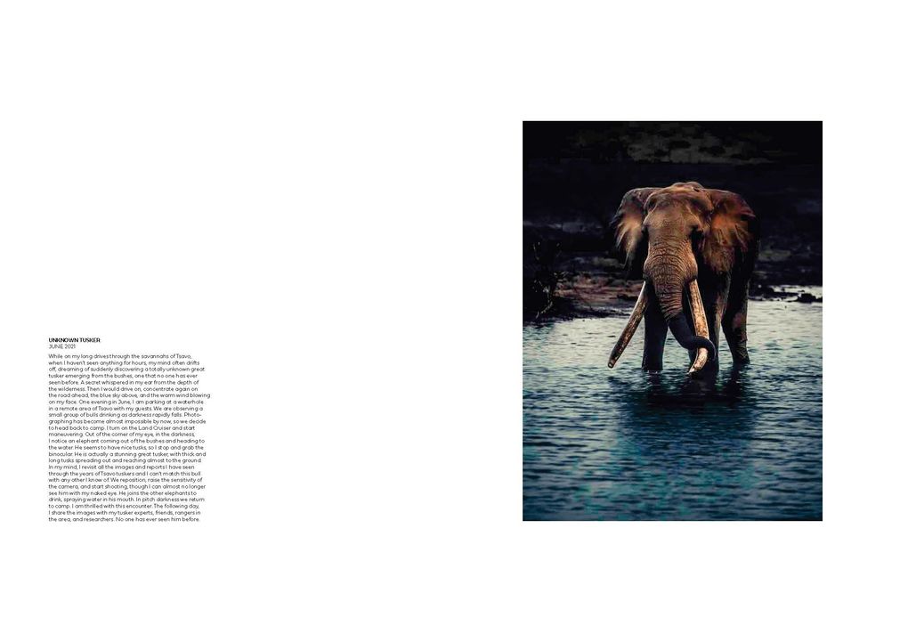 Weitere Ansicht: Walk the Earth | Federico Veronesi