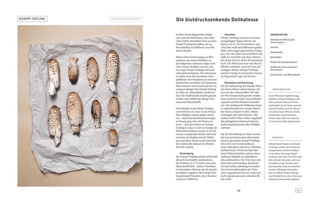 Weitere Ansicht: Pflanzenkraft | Wouter Bijdendijk, Joris Bijdendijk