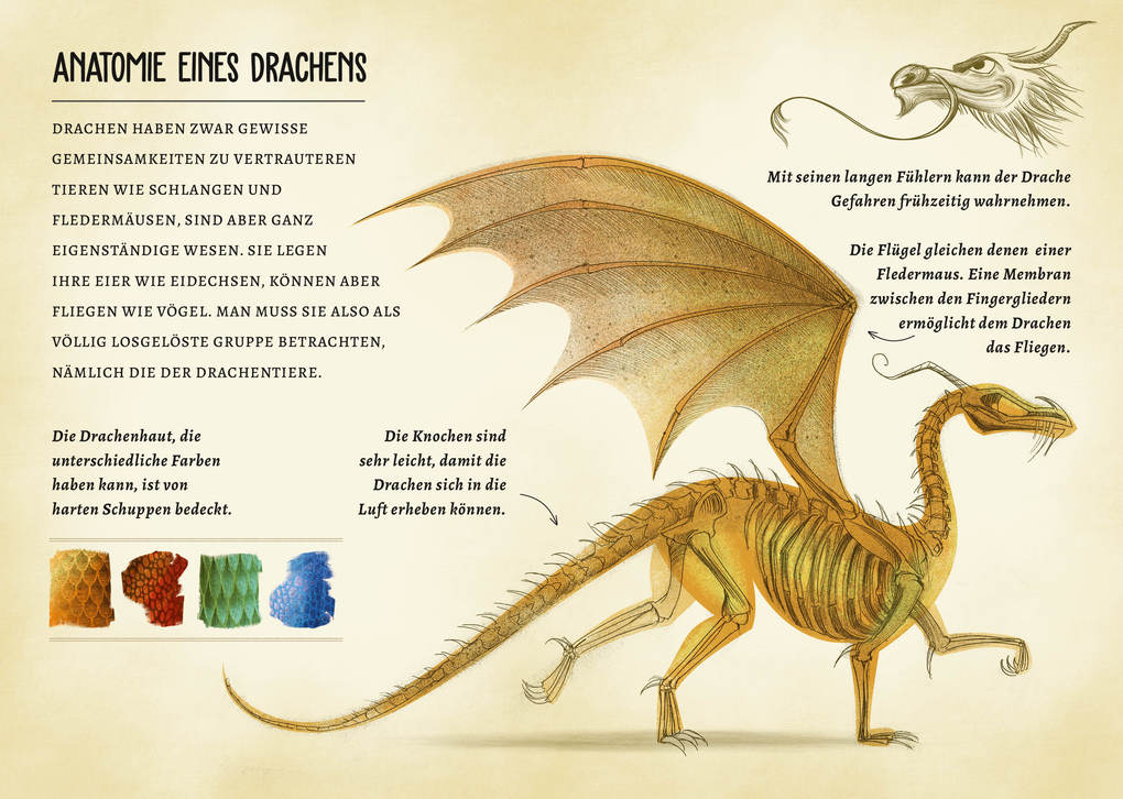 Weitere Ansicht: Drachen