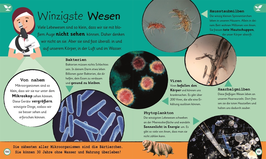 Weitere Ansicht: Wissen für Vorschulkids. Was weißt du über Natur und Technik?