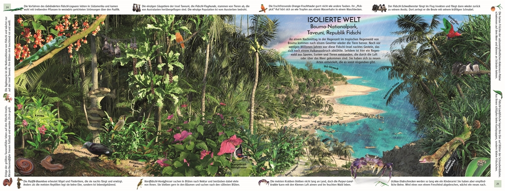 Weitere Ansicht: Regenwald | Michael Leach, Meriel Lland