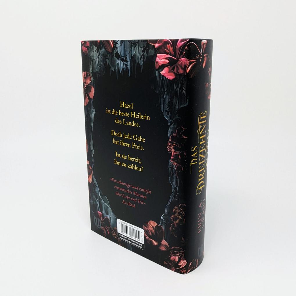 Weitere Ansicht: Das Dreizehnte Kind | Erin A. Craig