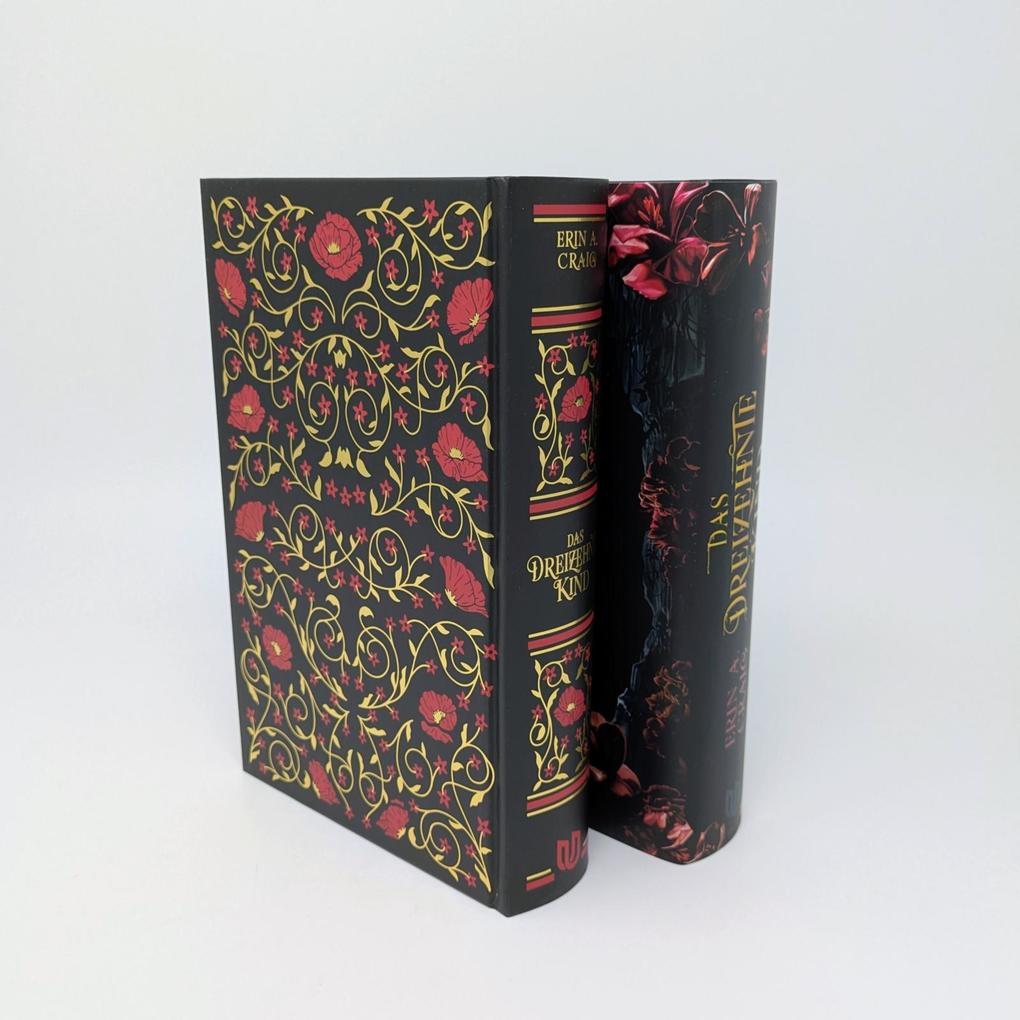 Weitere Ansicht: Das Dreizehnte Kind | Erin A. Craig