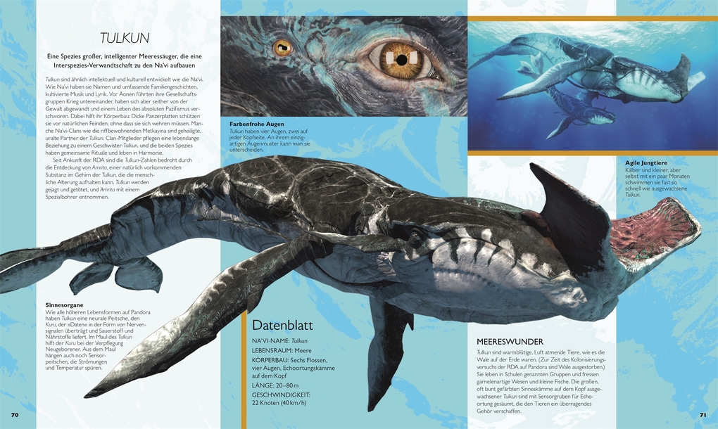 Weitere Ansicht: Die Welt von Avatar