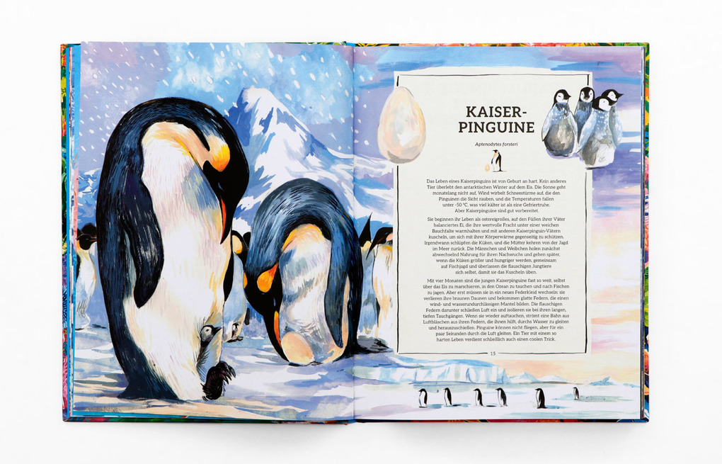 Weitere Ansicht: Ozeanopedia | Helen Scales