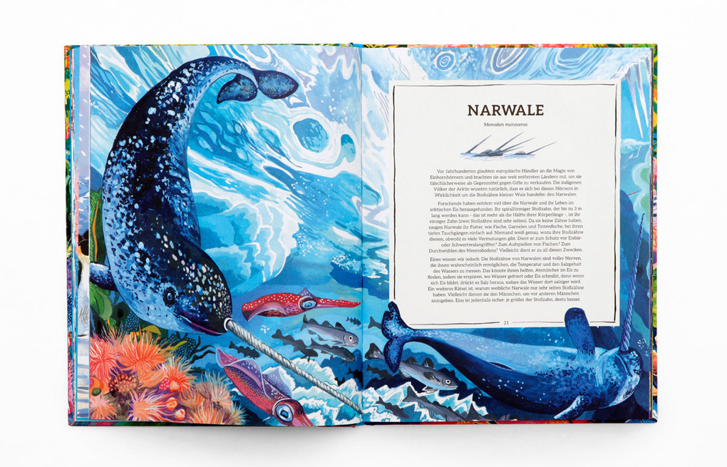 Weitere Ansicht: Ozeanopedia | Helen Scales