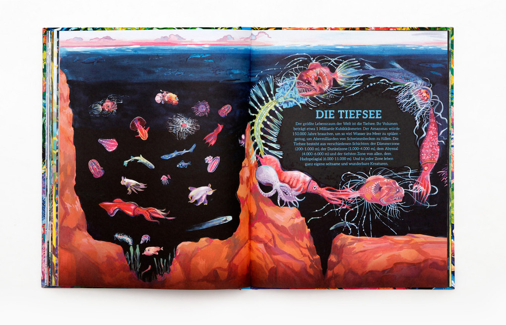 Weitere Ansicht: Ozeanopedia | Helen Scales