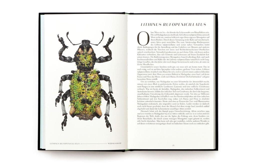 Weitere Ansicht: Wunderwelt der Insekten | Ross Piper