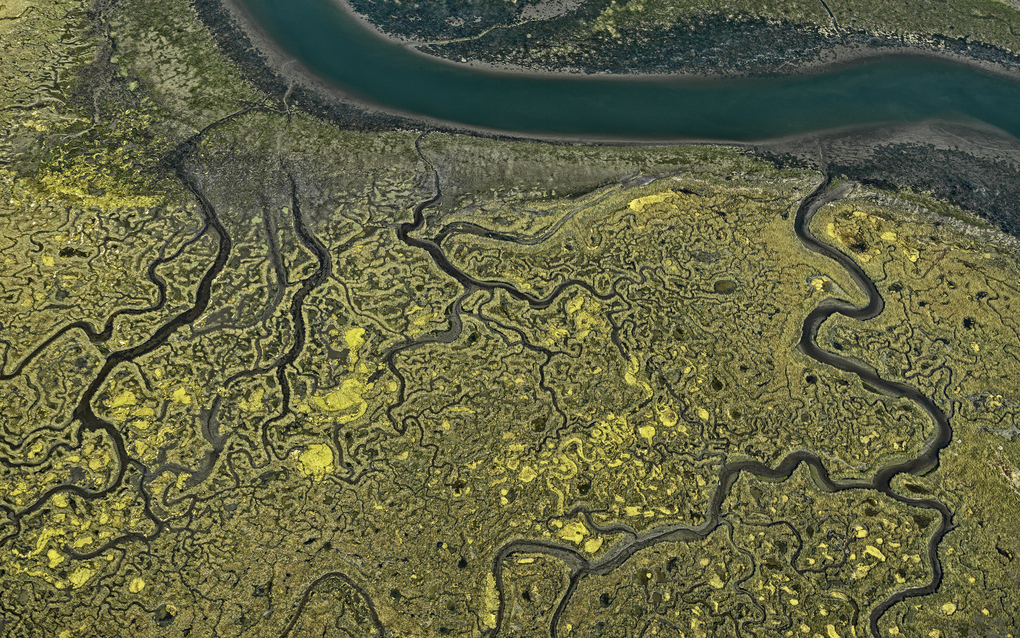 Weitere Ansicht: Bildband: Elements | Bernhard Edmaier, Angelika Jung-Hüttl