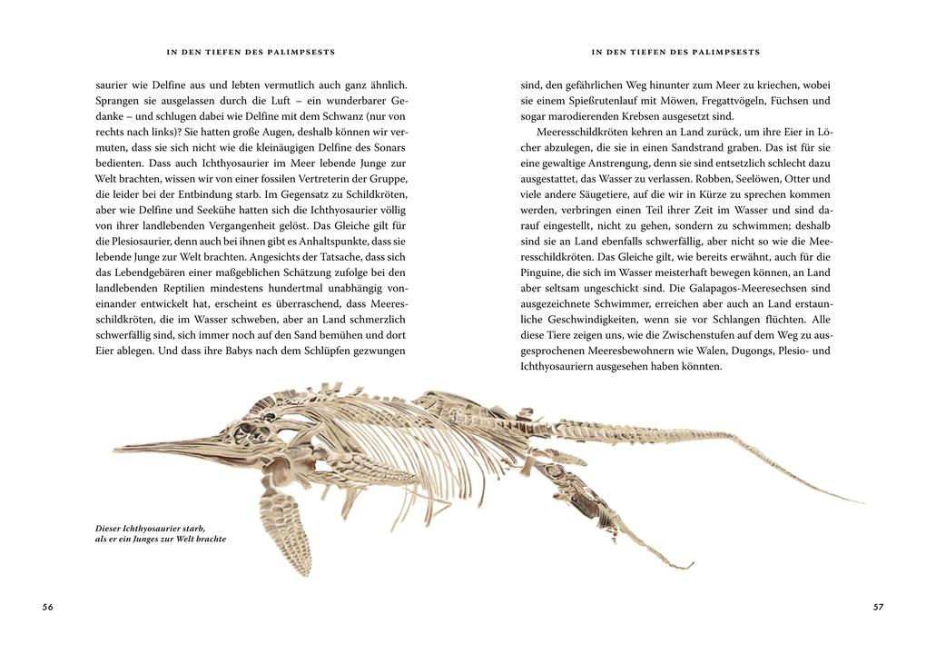 Weitere Ansicht: Das große Buch der Evolution | Richard Dawkins