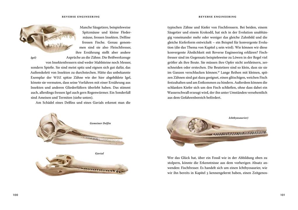 Weitere Ansicht: Das große Buch der Evolution | Richard Dawkins