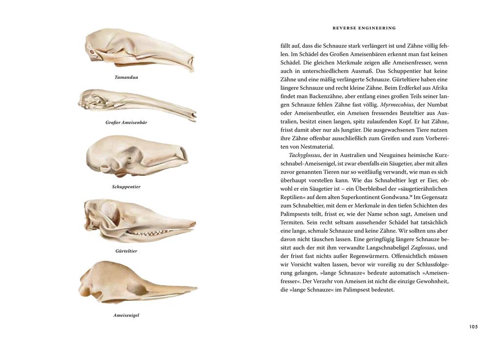 Weitere Ansicht: Das große Buch der Evolution | Richard Dawkins