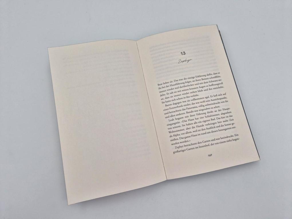 Weitere Ansicht: The Finisher - Du bist sein Verhängnis | RuNyx