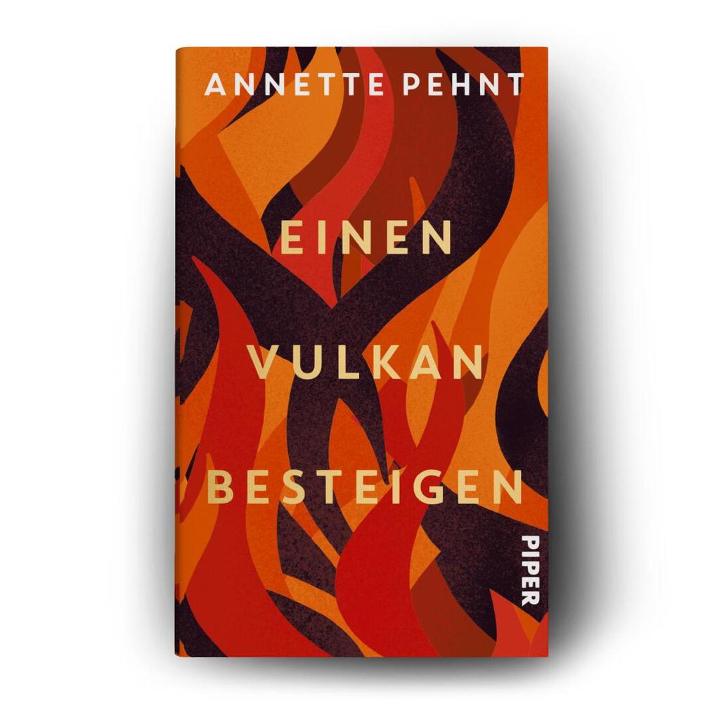 Weitere Ansicht: Einen Vulkan besteigen | Annette Pehnt