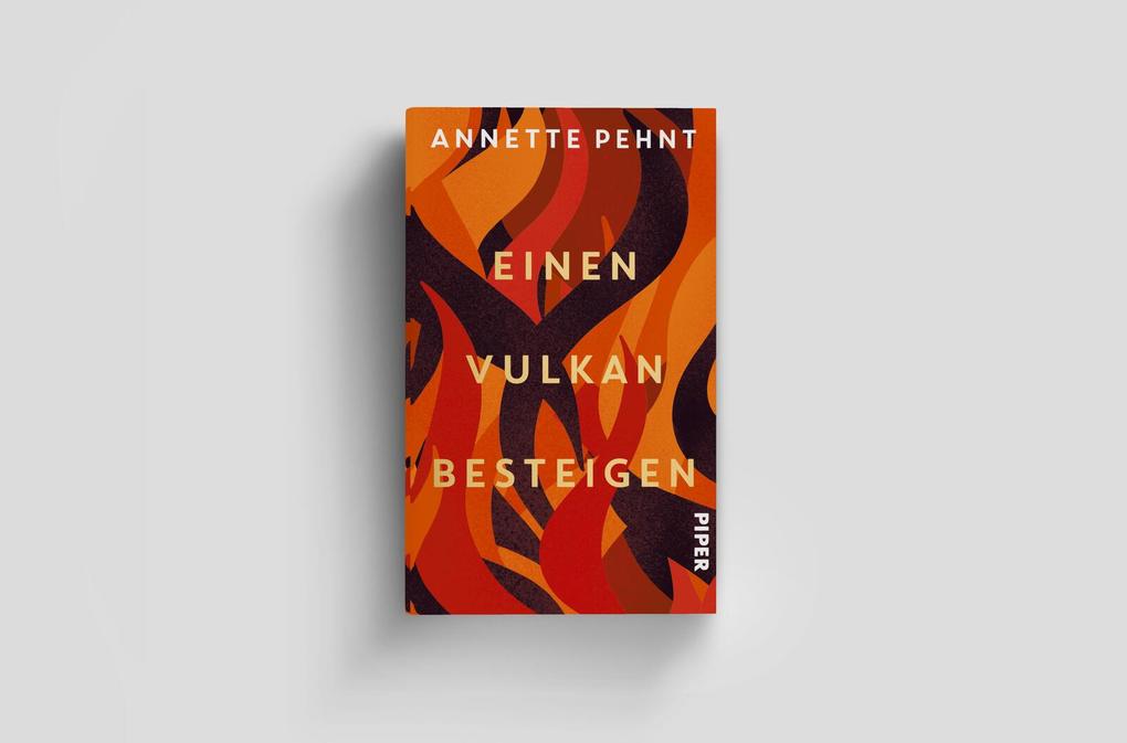 Weitere Ansicht: Einen Vulkan besteigen | Annette Pehnt
