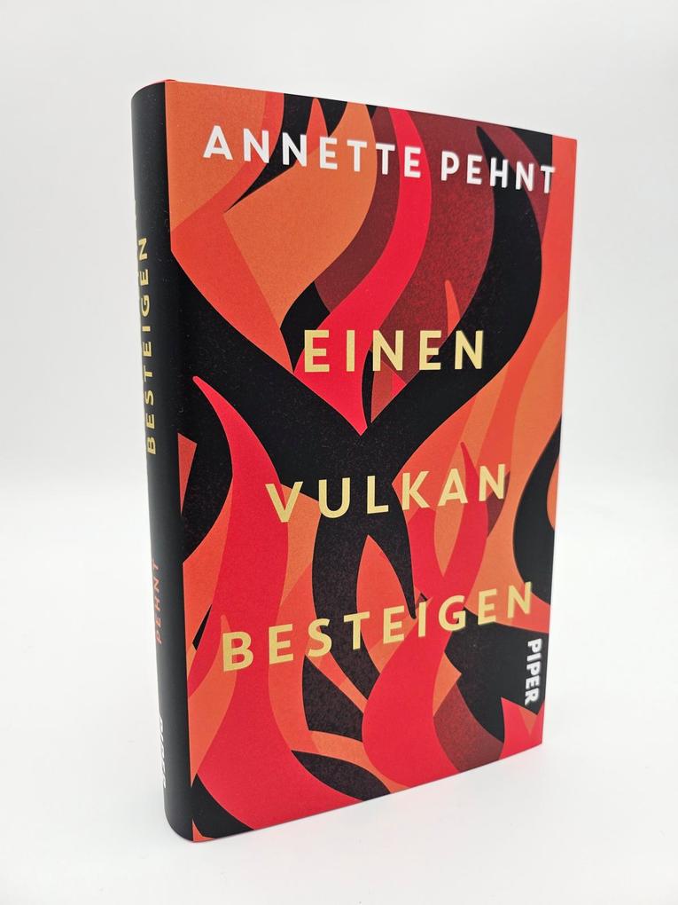 Weitere Ansicht: Einen Vulkan besteigen | Annette Pehnt
