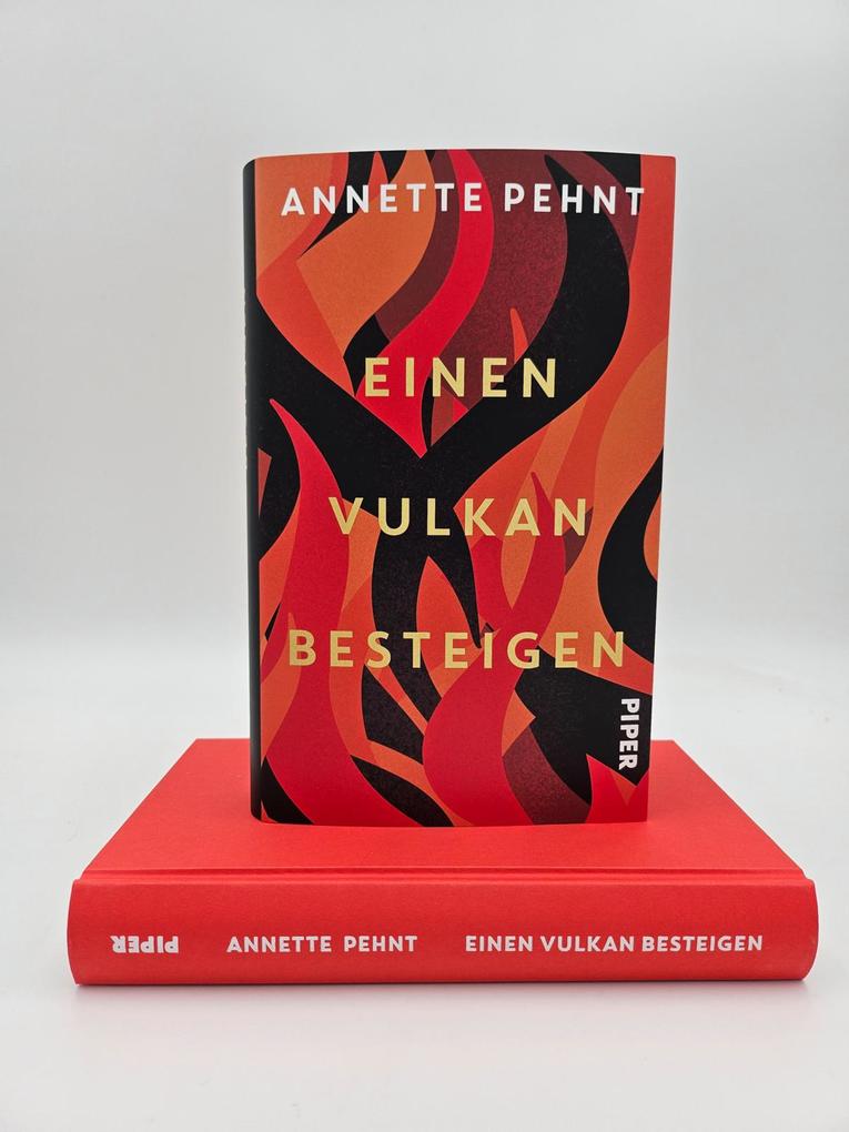 Weitere Ansicht: Einen Vulkan besteigen | Annette Pehnt