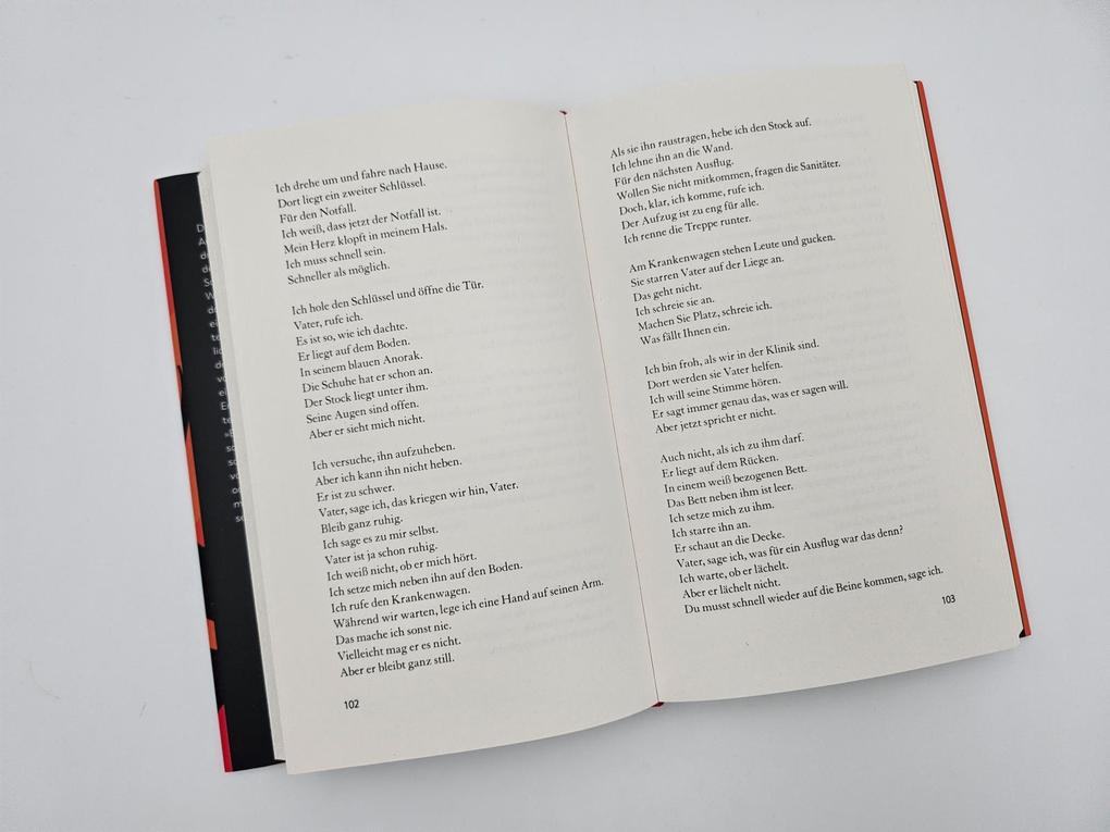 Weitere Ansicht: Einen Vulkan besteigen | Annette Pehnt