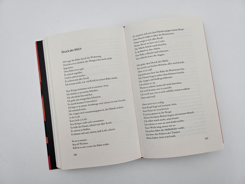 Weitere Ansicht: Einen Vulkan besteigen | Annette Pehnt