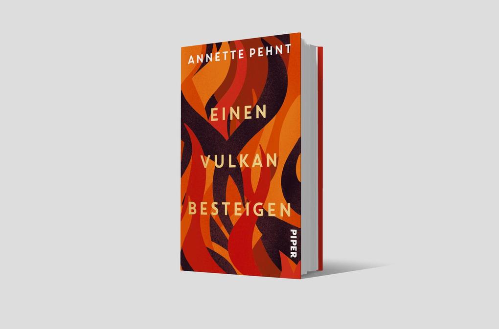 Weitere Ansicht: Einen Vulkan besteigen | Annette Pehnt