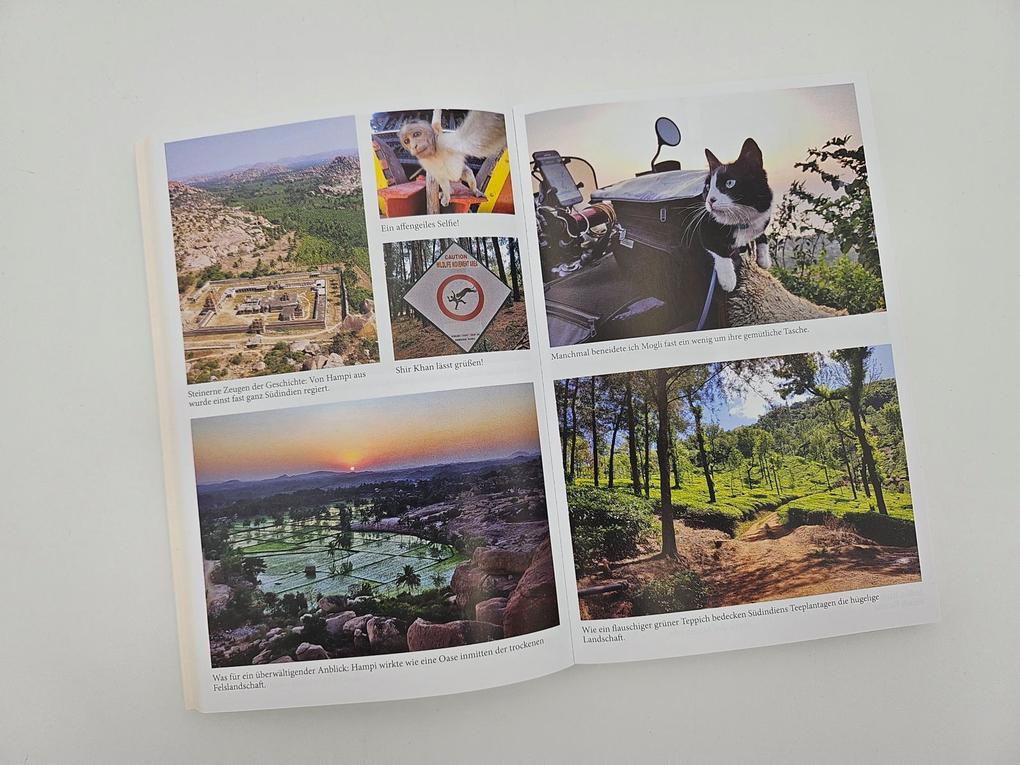 Weitere Ansicht: Mit der Katze weiter um die Welt | Martin Klauka