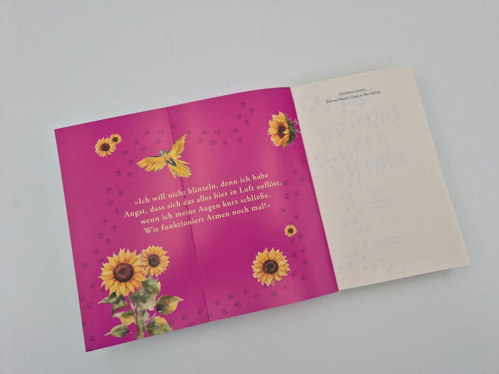 Weitere Ansicht: Josh and Hazel's Guide to Not Dating | Christina Lauren