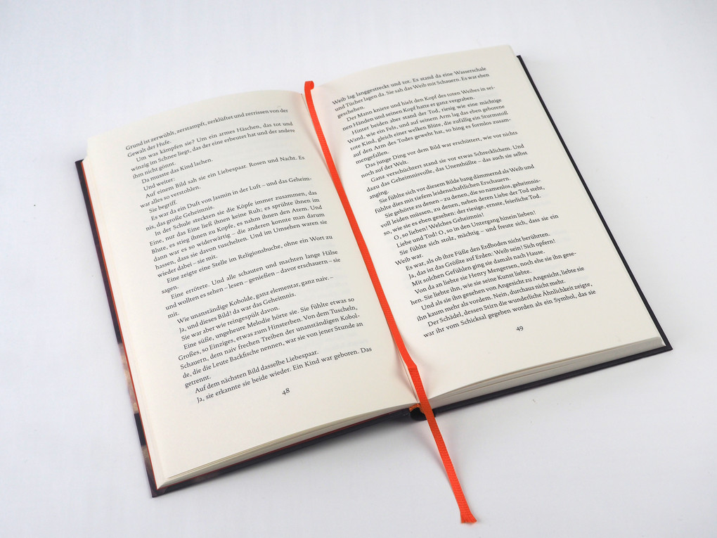 Weitere Ansicht: Halbtier! | Helene Böhlau