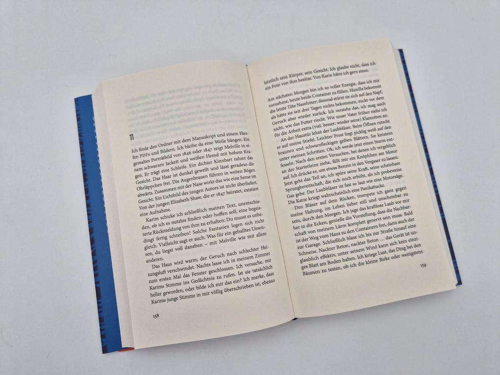 Weitere Ansicht: Melville verschwindet | Thomas Lang