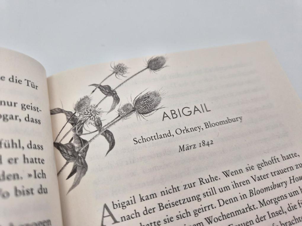 Weitere Ansicht: Die Gezeitentochter | Florence Winter