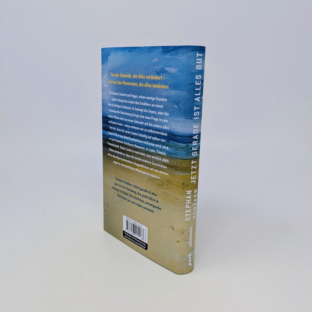 Weitere Ansicht: Jetzt gerade ist alles gut | Stephan Schäfer
