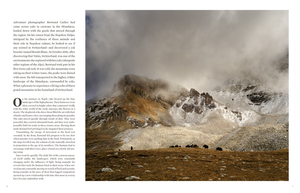 Weitere Ansicht: Call of the Mountains