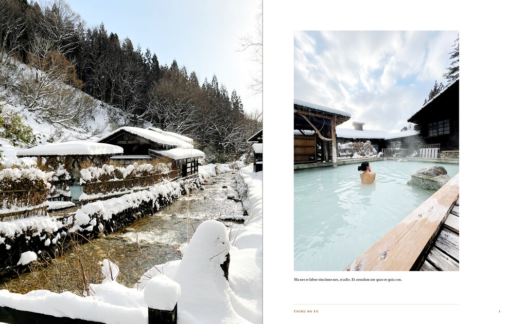 Weitere Ansicht: Onsen and Ryokan of Japan