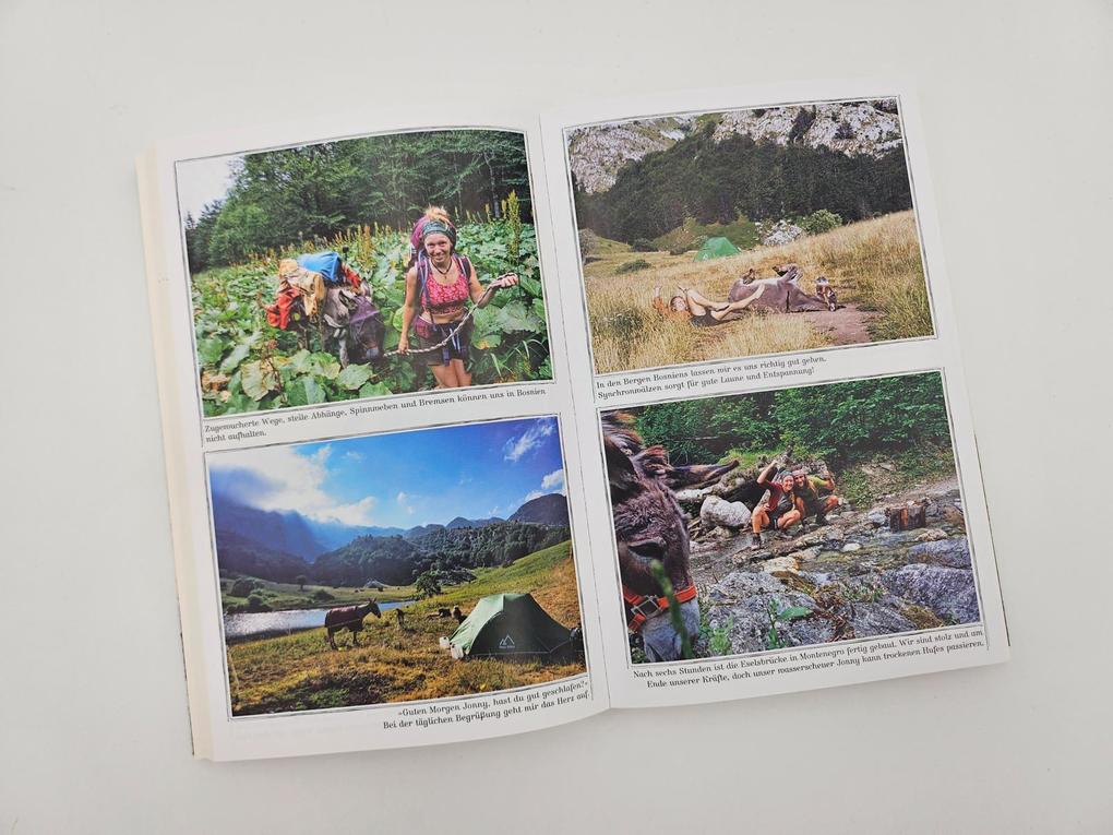 Weitere Ansicht: Immer den Nüstern nach | Lotta Lubkoll