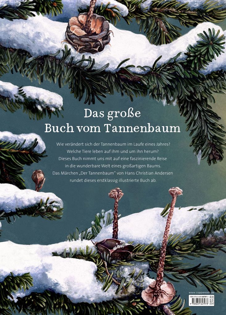 Weitere Ansicht: Das große Buch vom Tannenbaum | Holger Haag