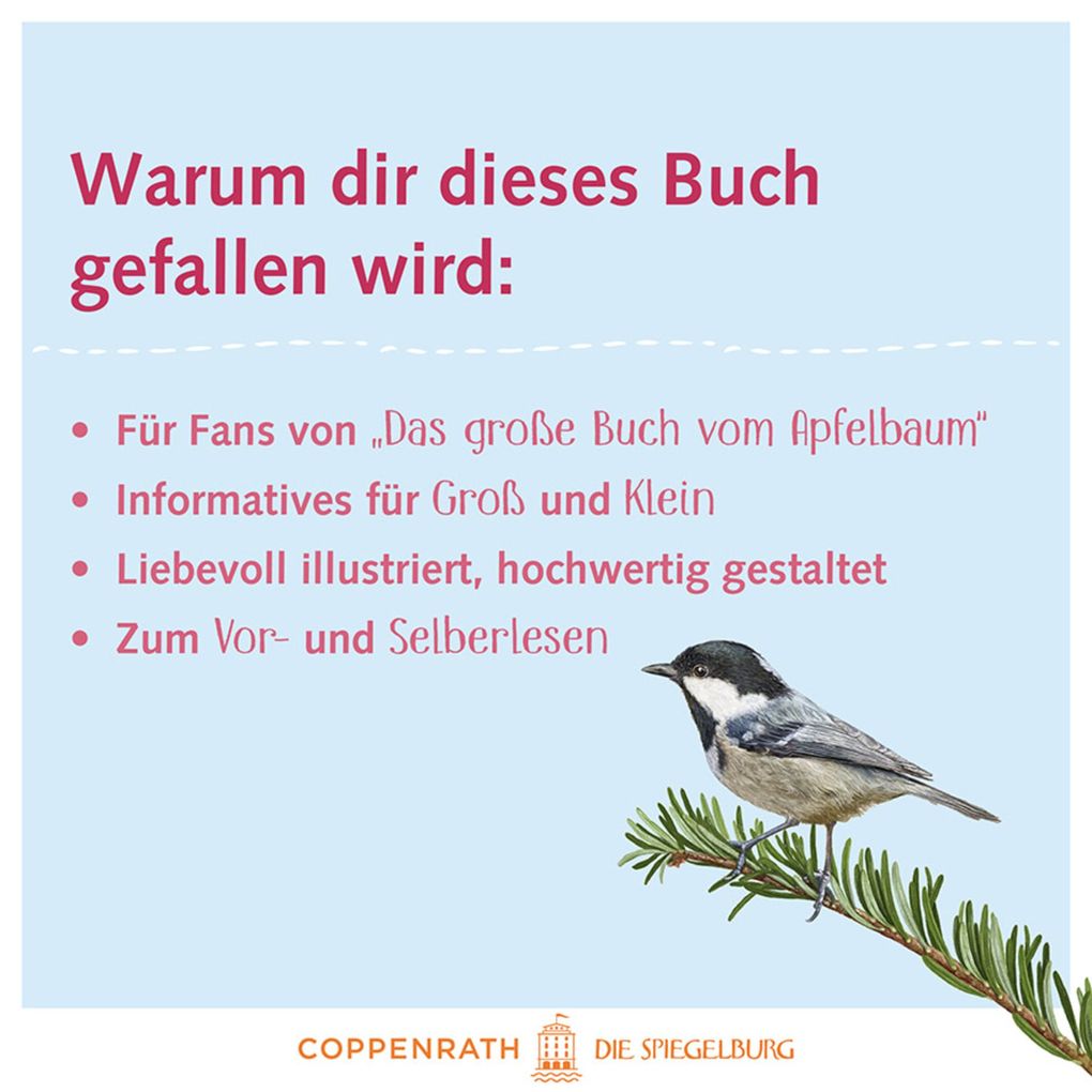 Weitere Ansicht: Das große Buch vom Tannenbaum | Holger Haag