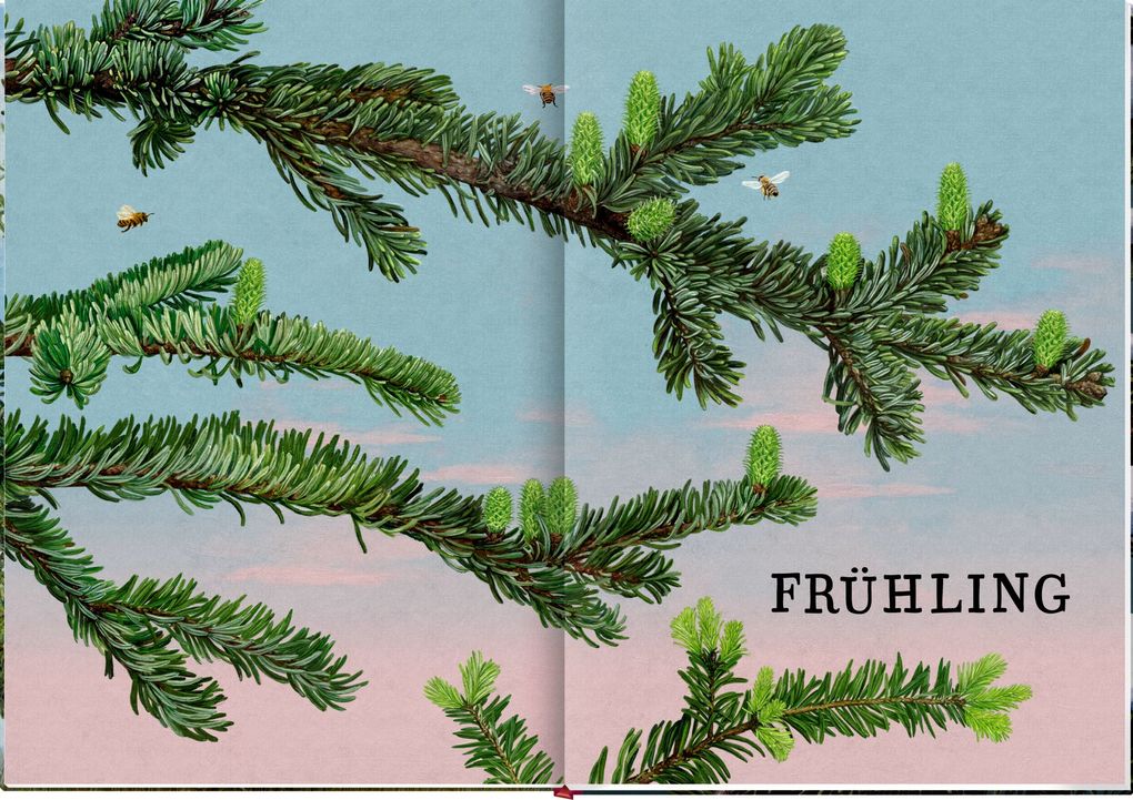 Weitere Ansicht: Das große Buch vom Tannenbaum | Holger Haag