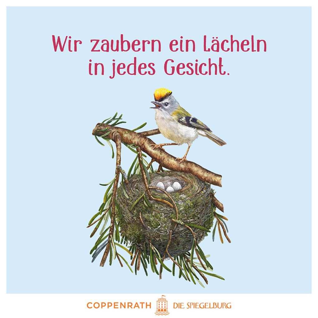 Weitere Ansicht: Das große Buch vom Tannenbaum | Holger Haag
