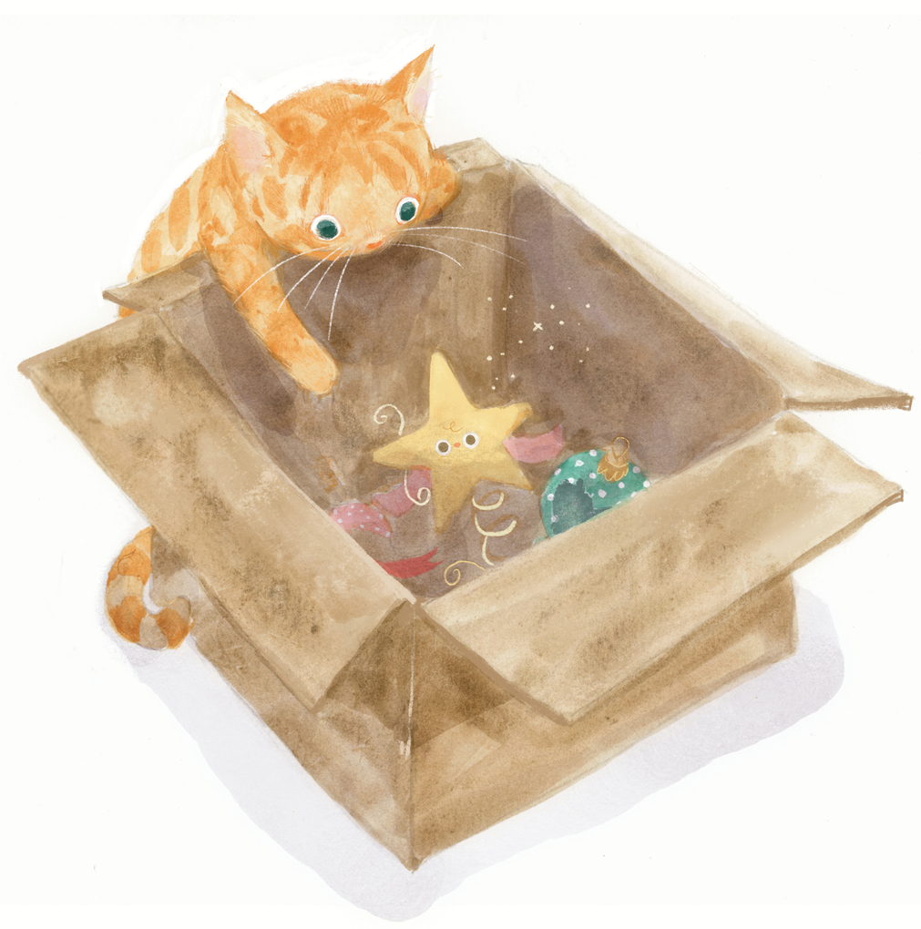 Weitere Ansicht: Das kleine Weihnachtssternchen | Marie Tibi