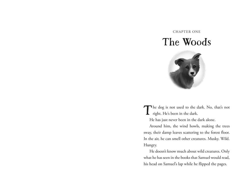 Weitere Ansicht: The Unlikely Tale of Chase and Finnegan | Jasmine Warga