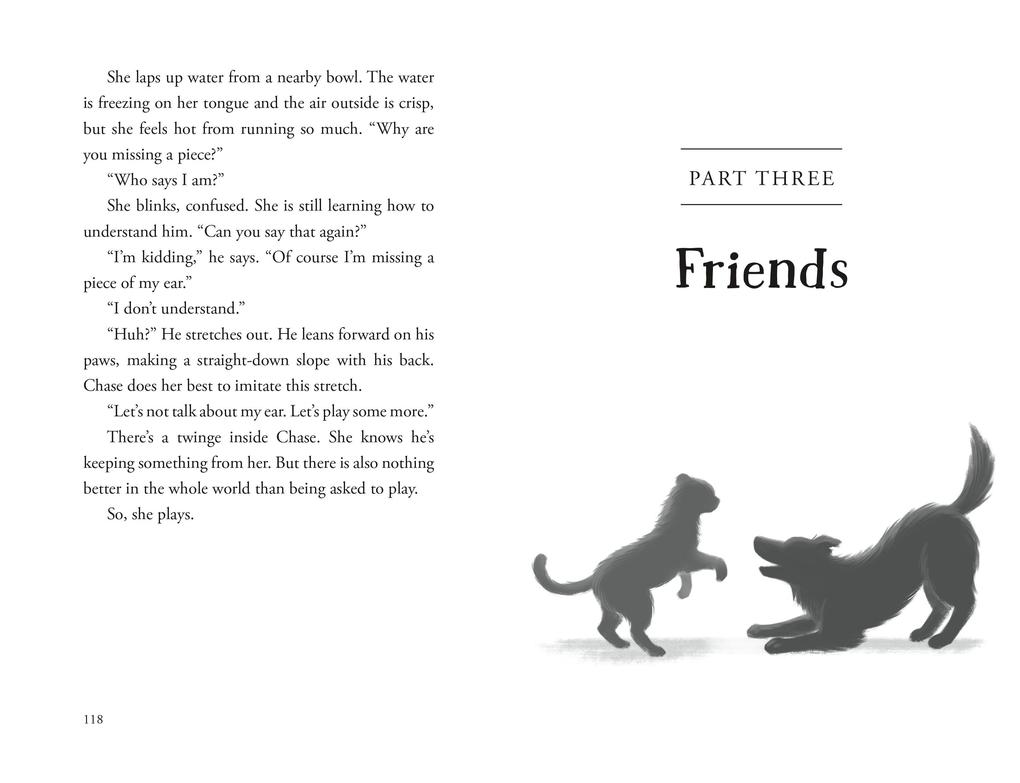 Weitere Ansicht: The Unlikely Tale of Chase and Finnegan | Jasmine Warga