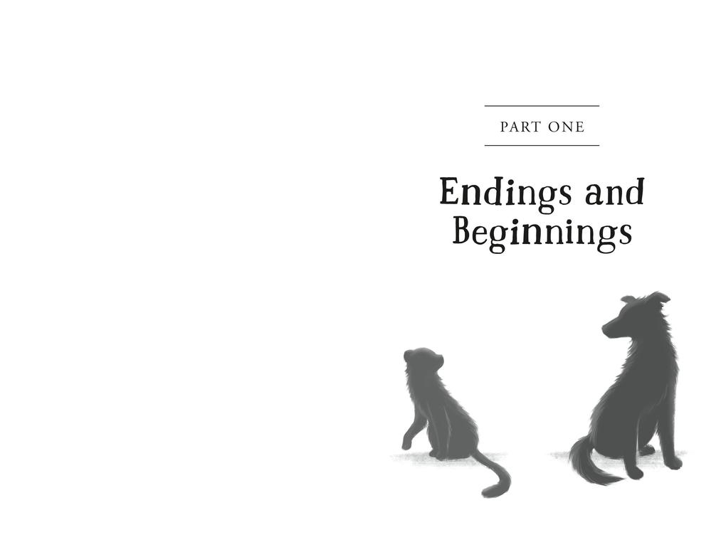 Weitere Ansicht: The Unlikely Tale of Chase and Finnegan | Jasmine Warga